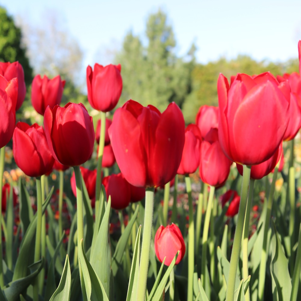 Meet your Posher, Judyth